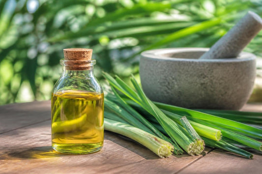 Citronella Insect Repellent: Science, Safety & Solutions
