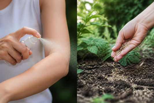 Great Mosquito Repellent: What Actually Works in 2026