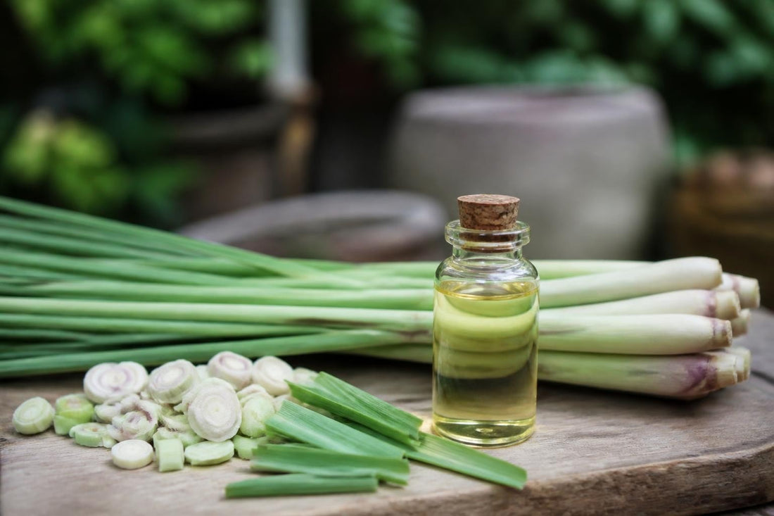 Lemongrass Oil Bug Repellent: Natural Protection for 2026